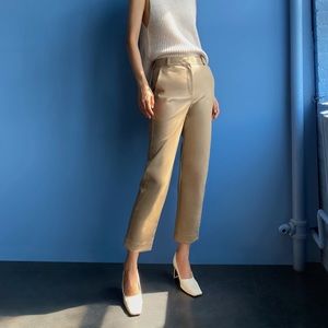 Aritzia Babaton Command Pant size 6